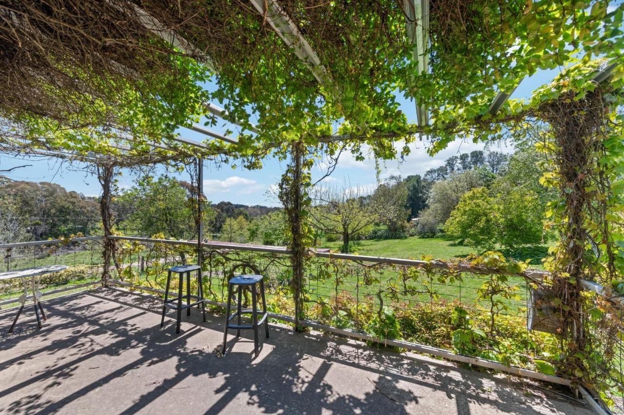 Bendalong - Rural Retreat, Short Drive To Cbd * Orange
