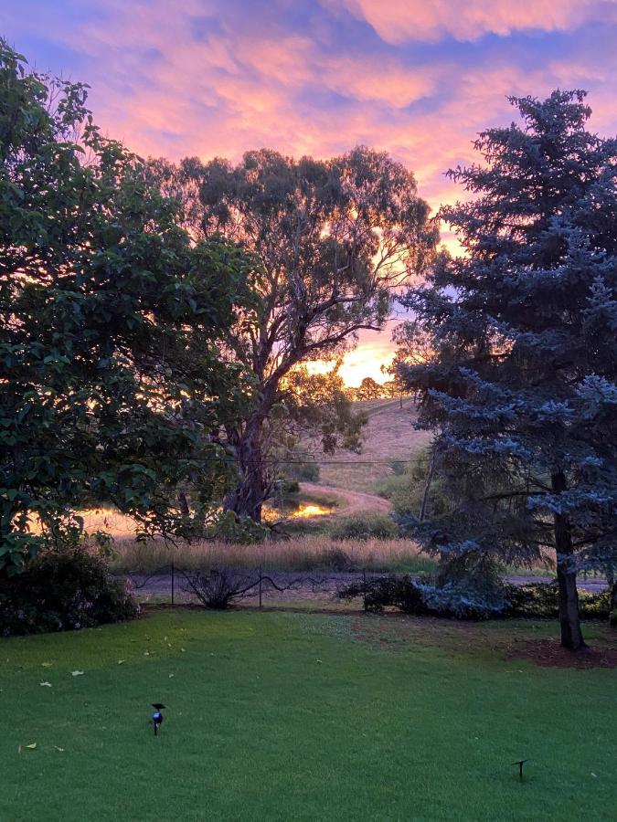 Bendalong - Rural Retreat, Short Drive To Cbd * Orange