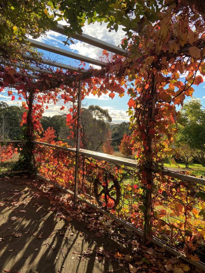 Bendalong - Rural Retreat, Short Drive To Cbd Holiday home *